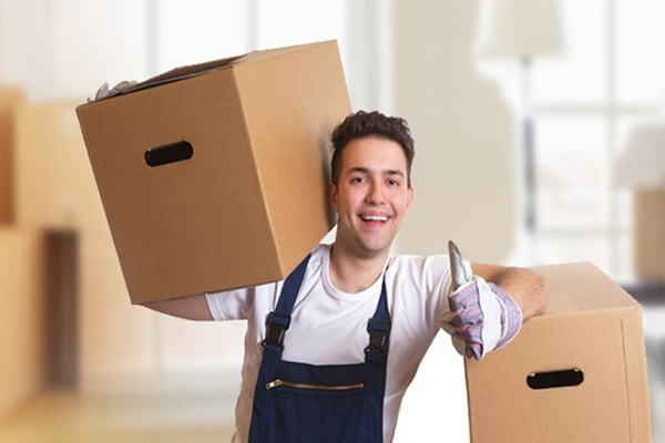Ideal Cargo packers and movers